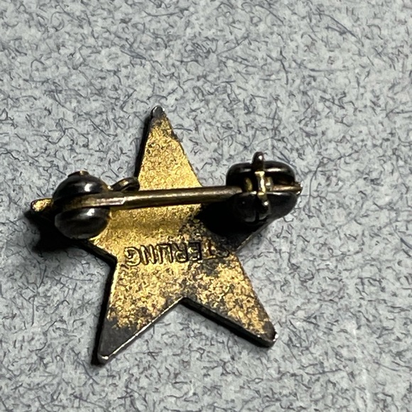 Vintage Sterling Enamel MASONIC ORDER OF EASTERN STAR ENAMEL Pin - Picture 2 of 6